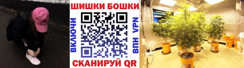 KRAKEN ТОР  Катайск  Шишки марихуана THC 21% 